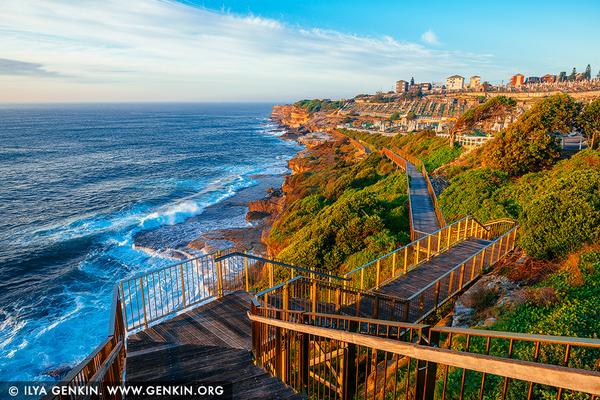 Bondi to Coogee Coastal Walk