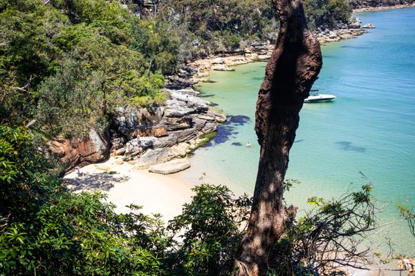 Spit Bridge to Manly Walk